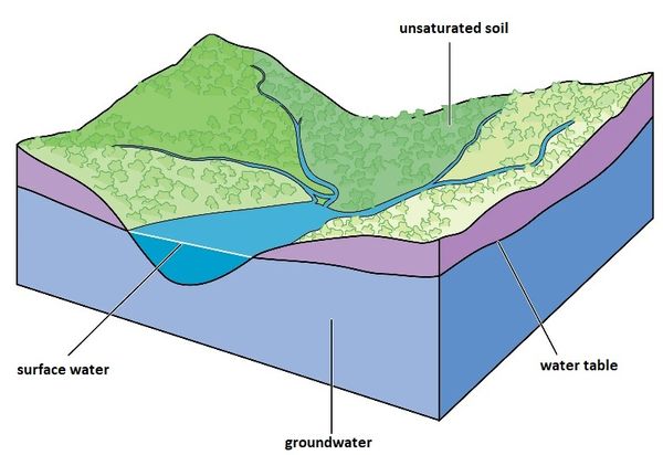 What is the water table and why is it important?