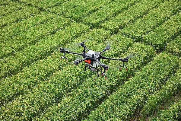 Smart Water Management in Agriculture